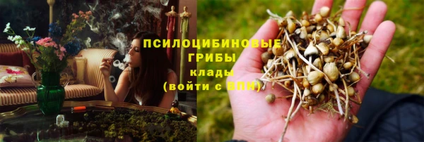 героин Алексин