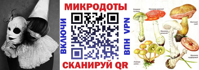 Псилоцибиновые грибы Psilocybe  Лермонтов 